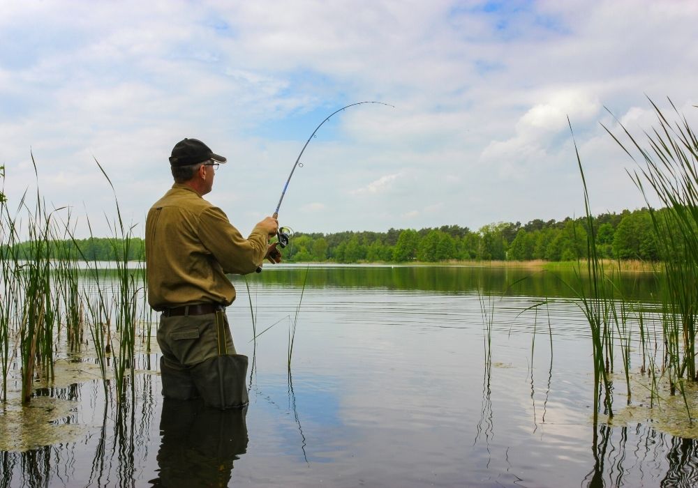 Difference between a dry and wet fly