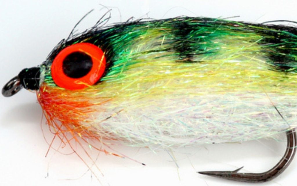 a close-up of fly tying eye