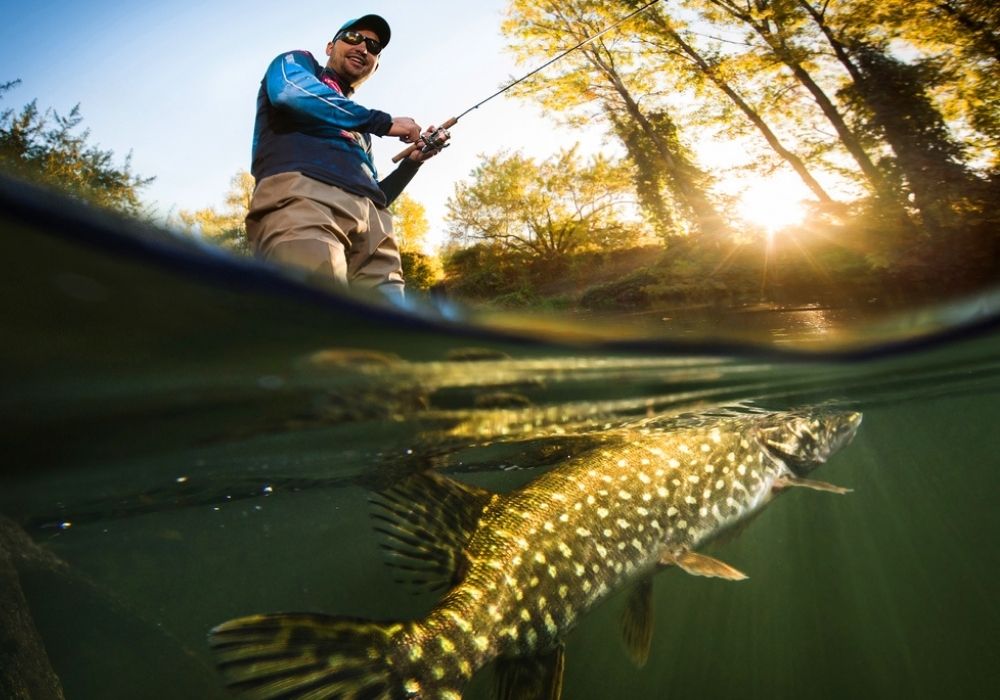 a fisherman and a pike fish