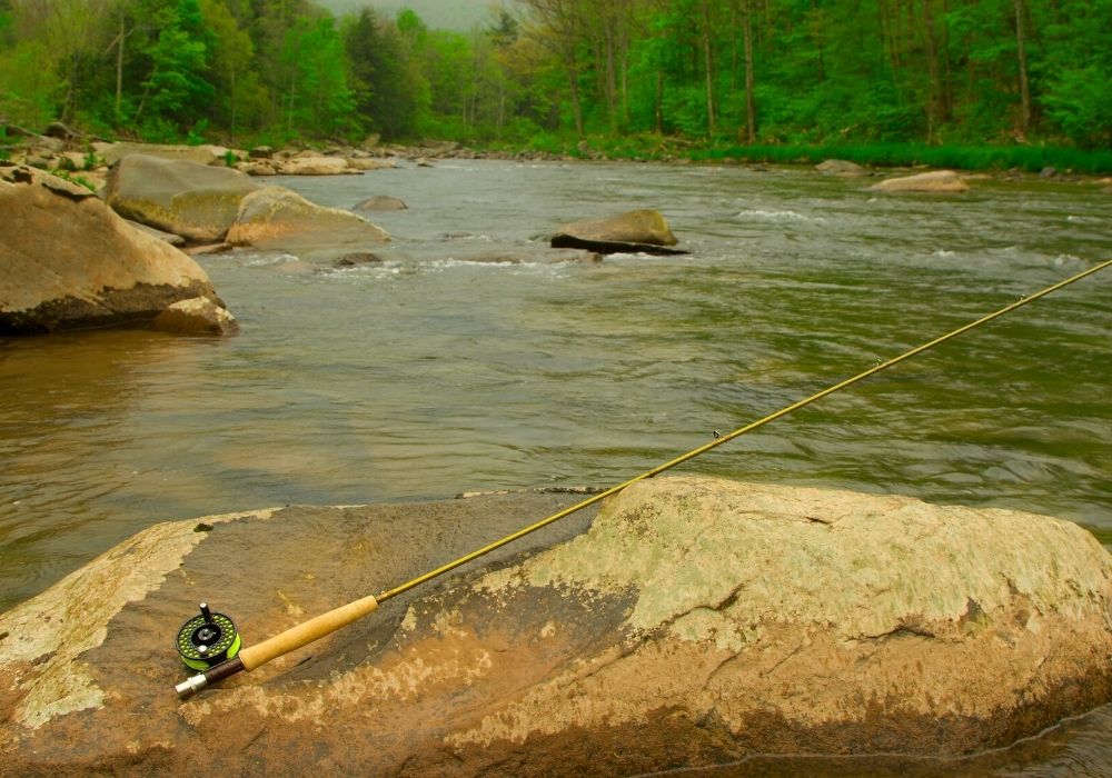 https://intoflyfishing.com/wp-content/uploads/2020/11/a-fly-rod-and-reel-on-the-river.jpg