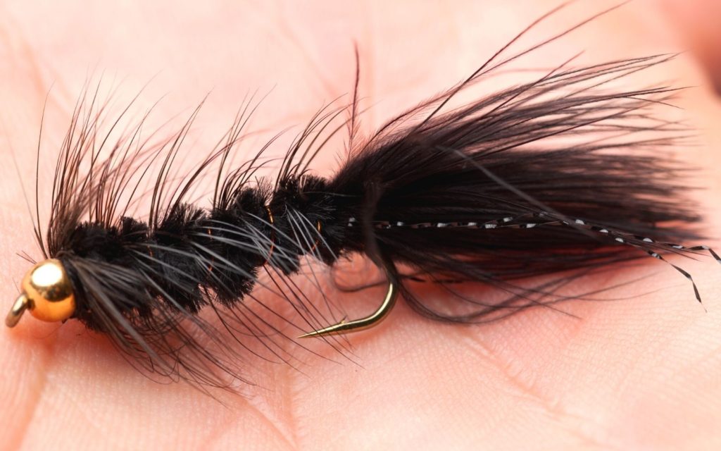 a wooly bugger with a beadhead