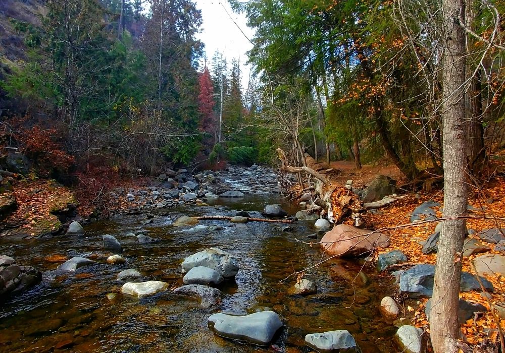 A beautiful small stream at Bear Trap Canyon