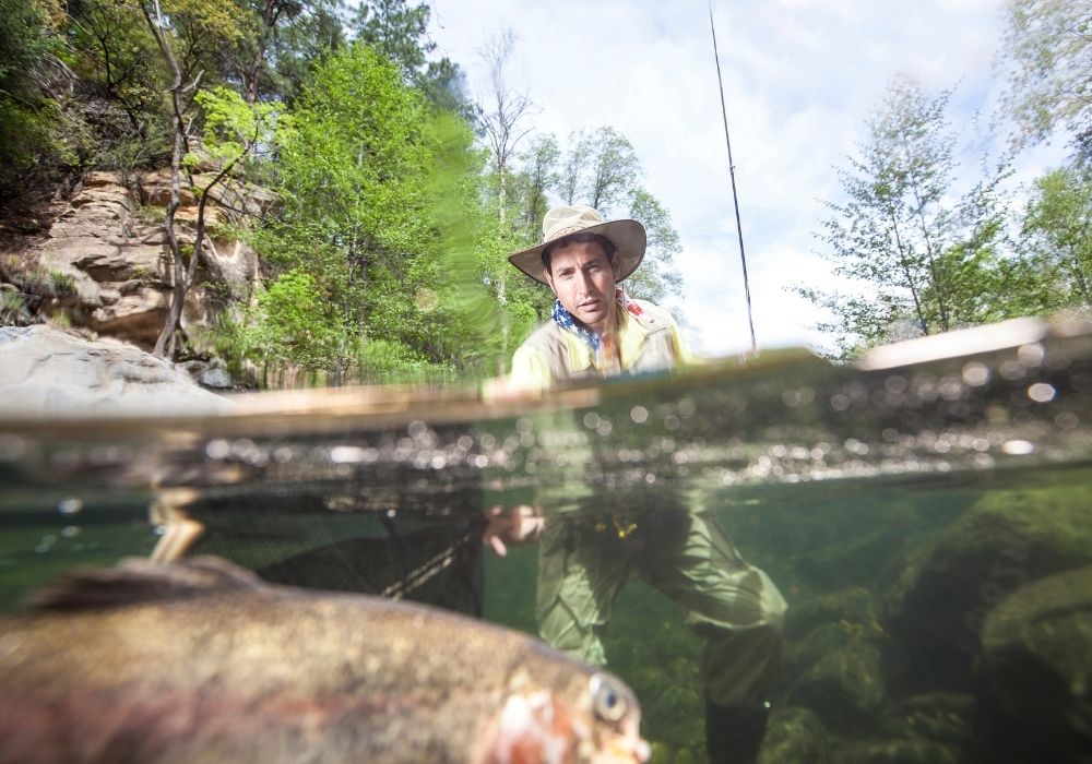 Fishing With a Worm: An Angler's Guide - Into Fly Fishing