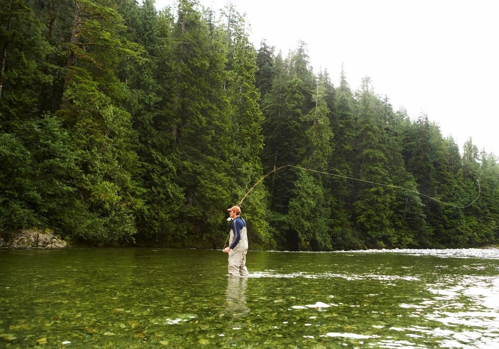 Fly Fishing with Terrestrials and Terrestrial Fishing