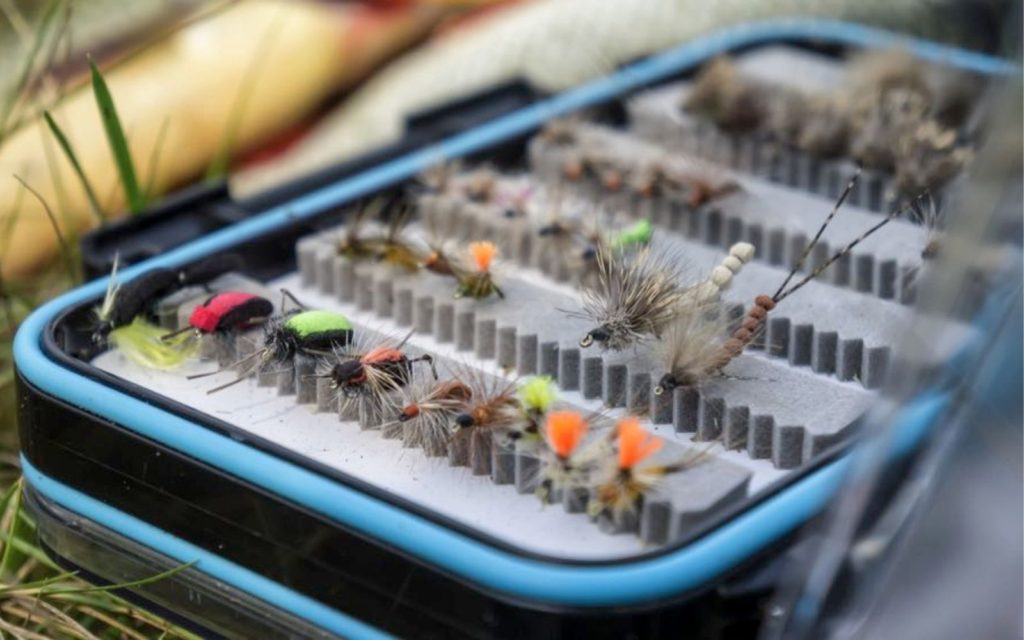 A set of terrestrial flies in a fly box for fly fishing