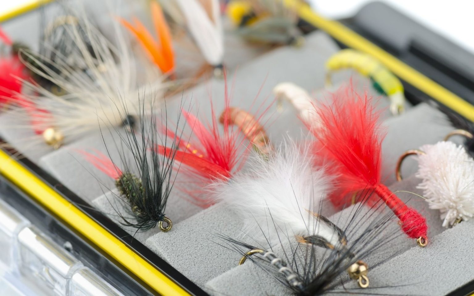 Types of Fly Fishing Flies (An Angler’s Guide) Into Fly Fishing