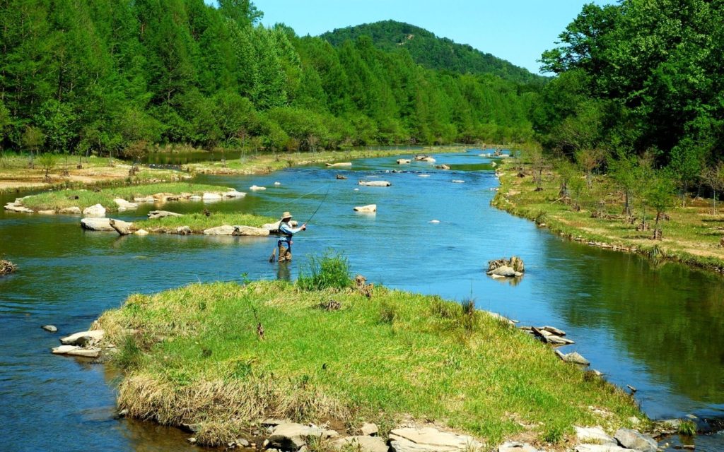An angler fly fishing Shenandoah National Park