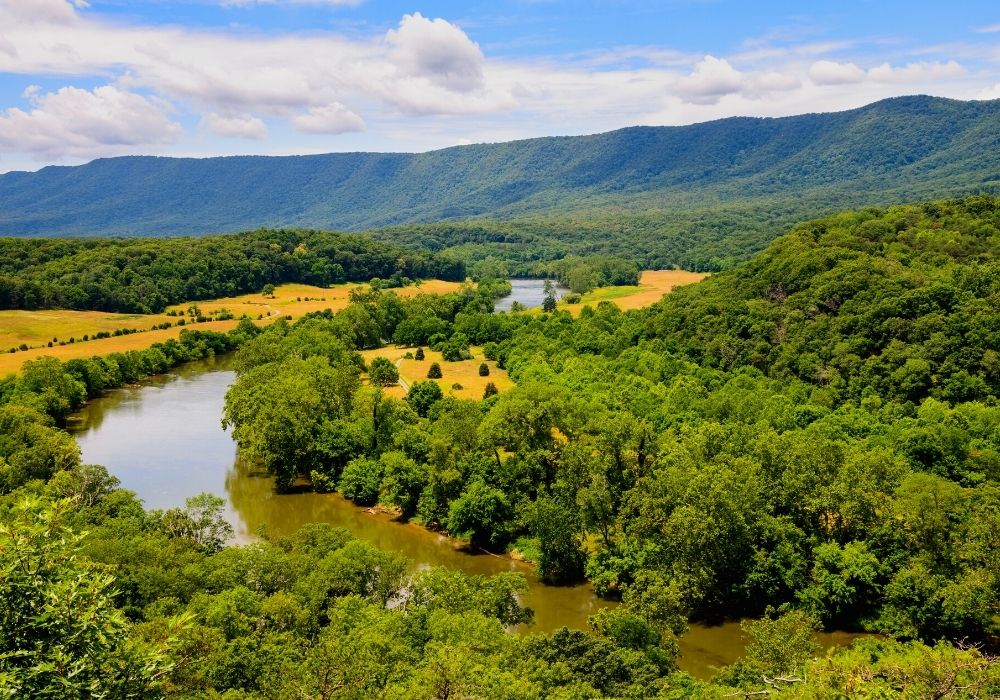 Fly Fishing On The Shenandoah, Nvdaily