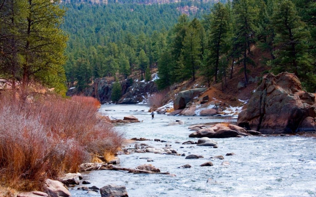 An angler fly fishing on a river
