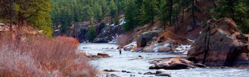 An angler fly fishing on a river