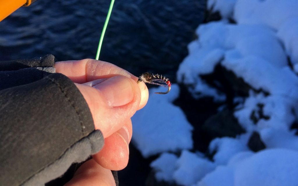 Chironomid Fly Fishing