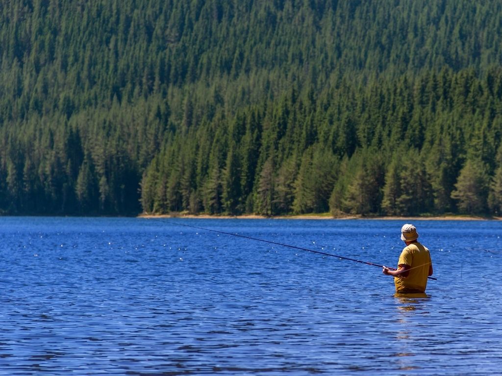 Fly Fishing on Lakes A Guide to Lake Fishing Into Fly Fishing