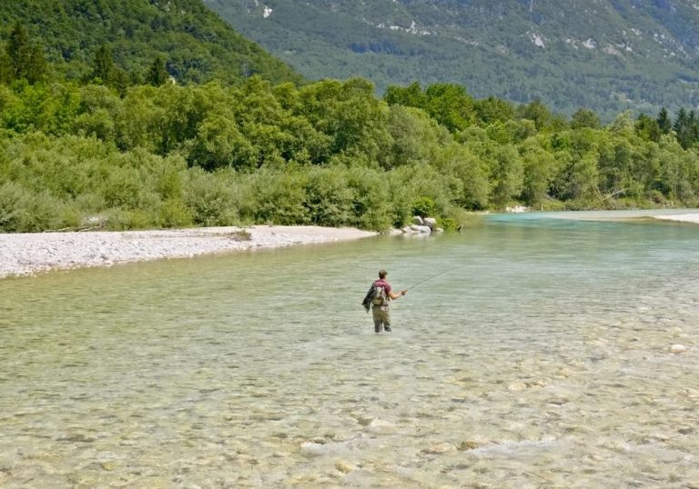 Duluth Fly Fishing (2023 Angler's Guide) Into Fly Fishing