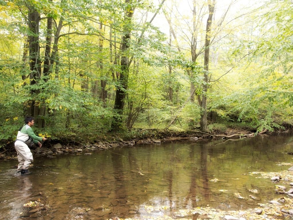 Pennsylvania's Waking Giant: The Lackawanna River - Fly Fisherman