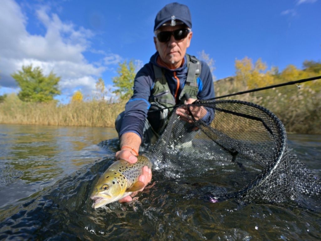 Best Brown Trout Flies A Guide To Productive Brown Trout Patterns