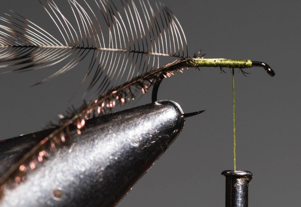 tying a Griffith's Gnat fly