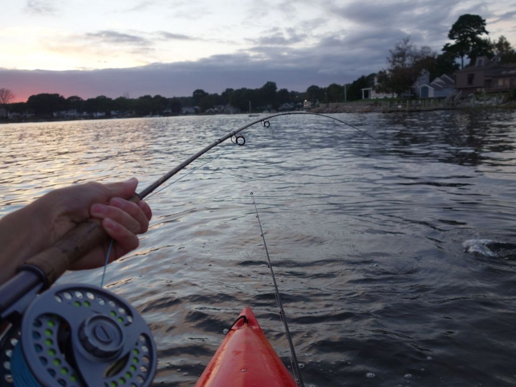 https://intoflyfishing.com/wp-content/uploads/2021/03/An-angler-fly-fishing-on-a-boat-with-a-tfo-pro-II-fly-rod.jpg