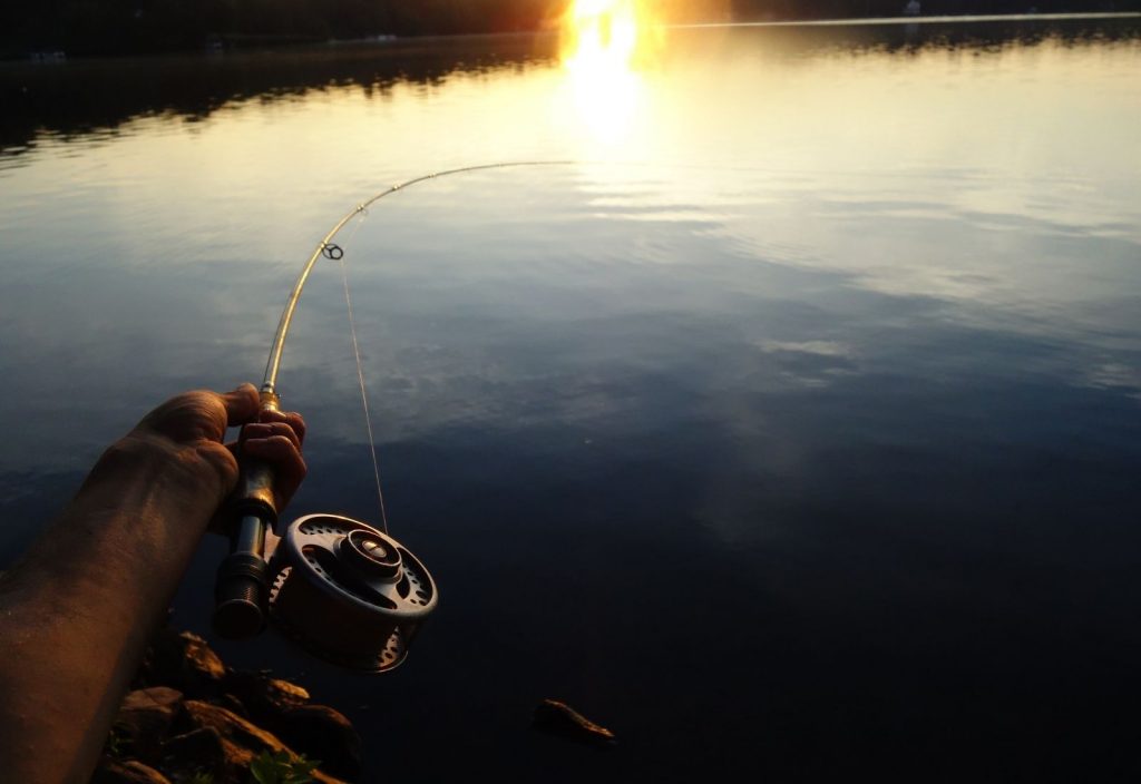 TFO Signature 2 rod review
