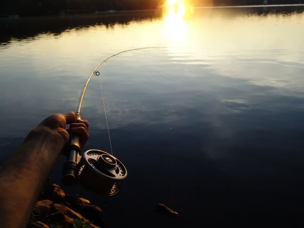 Temple Fork Outfitters Signature 2 Fly Rod