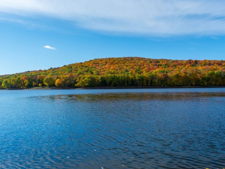 Fly Fishing in Vermont (An Angler's Guide) Into Fly Fishing