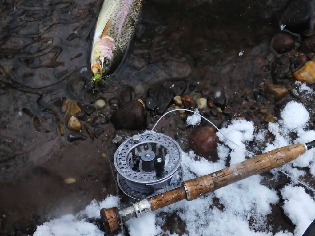 Cabela's RLS II Fly Reel