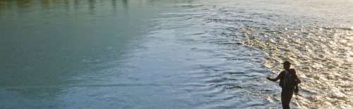 a man fly fishing on a river in Decorah