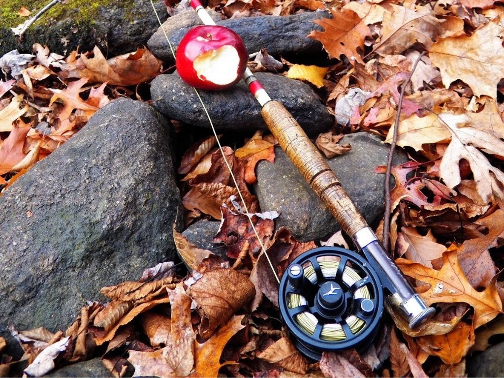 Echo Ion Review (Hands-on Tried & Tested) - Into Fly Fishing