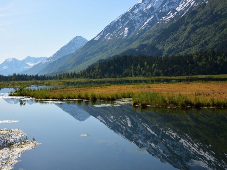fly fishing Kenai River Alaska
