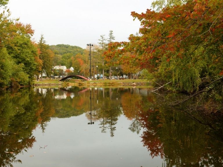 fly fishing Swift River in Massachusetts