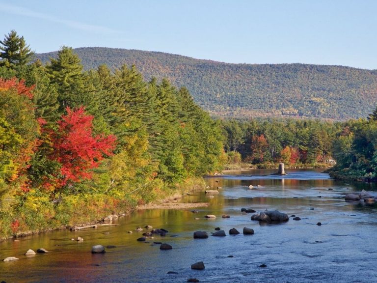 fly fishing in Saco river in New Hampshire