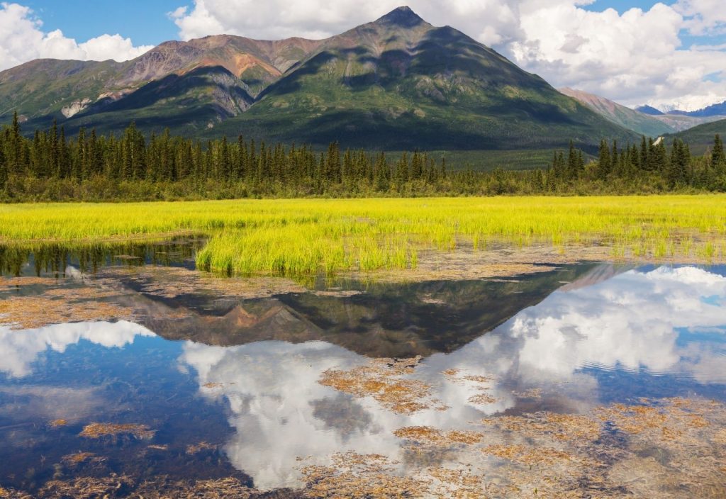 fly fishing in the beautiful Alaska