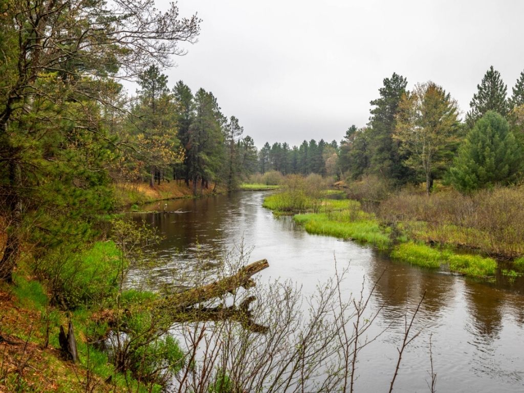 fly fishing the Manistee river outside of Grayling, Michigan