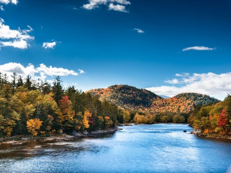 Fly Fishing in Vermont (An Angler's Guide) Into Fly Fishing
