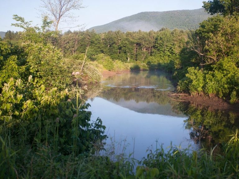 Fly Fishing in Vermont (An Angler's Guide) Into Fly Fishing