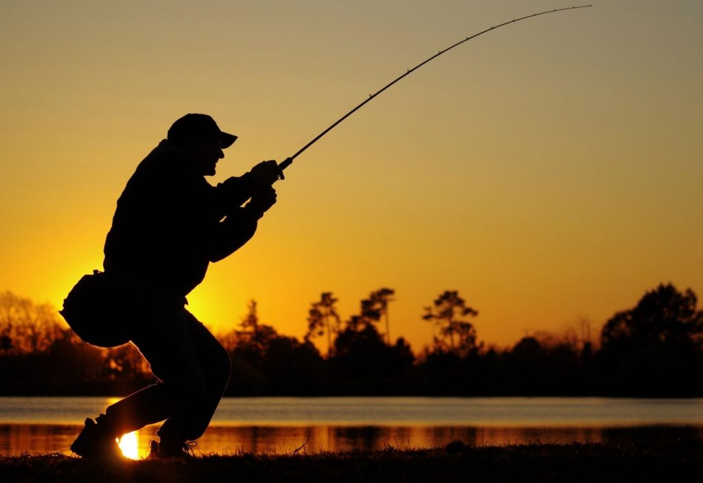 difference between fly fishing vs spin fishing