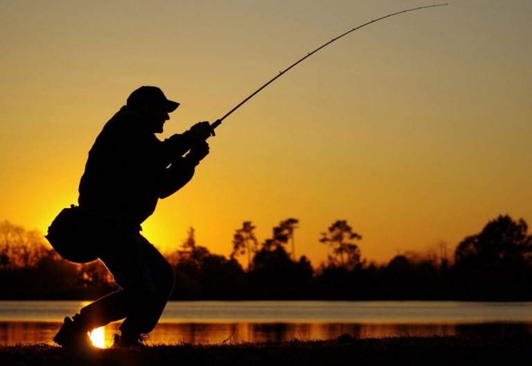 Connecticut River Fishing (An Angler's Guide) Into Fly Fishing