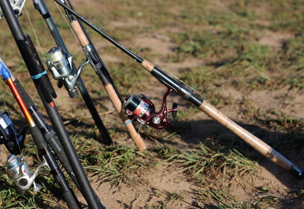 different fishing fly rods and spinning rods