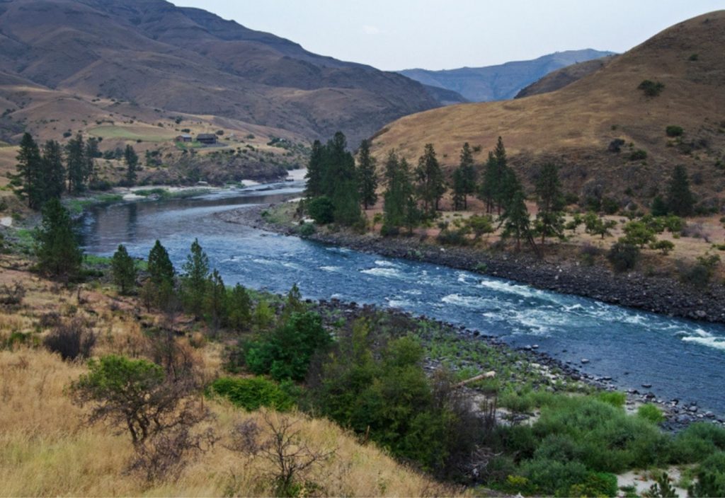 fly fishing in Salmon River