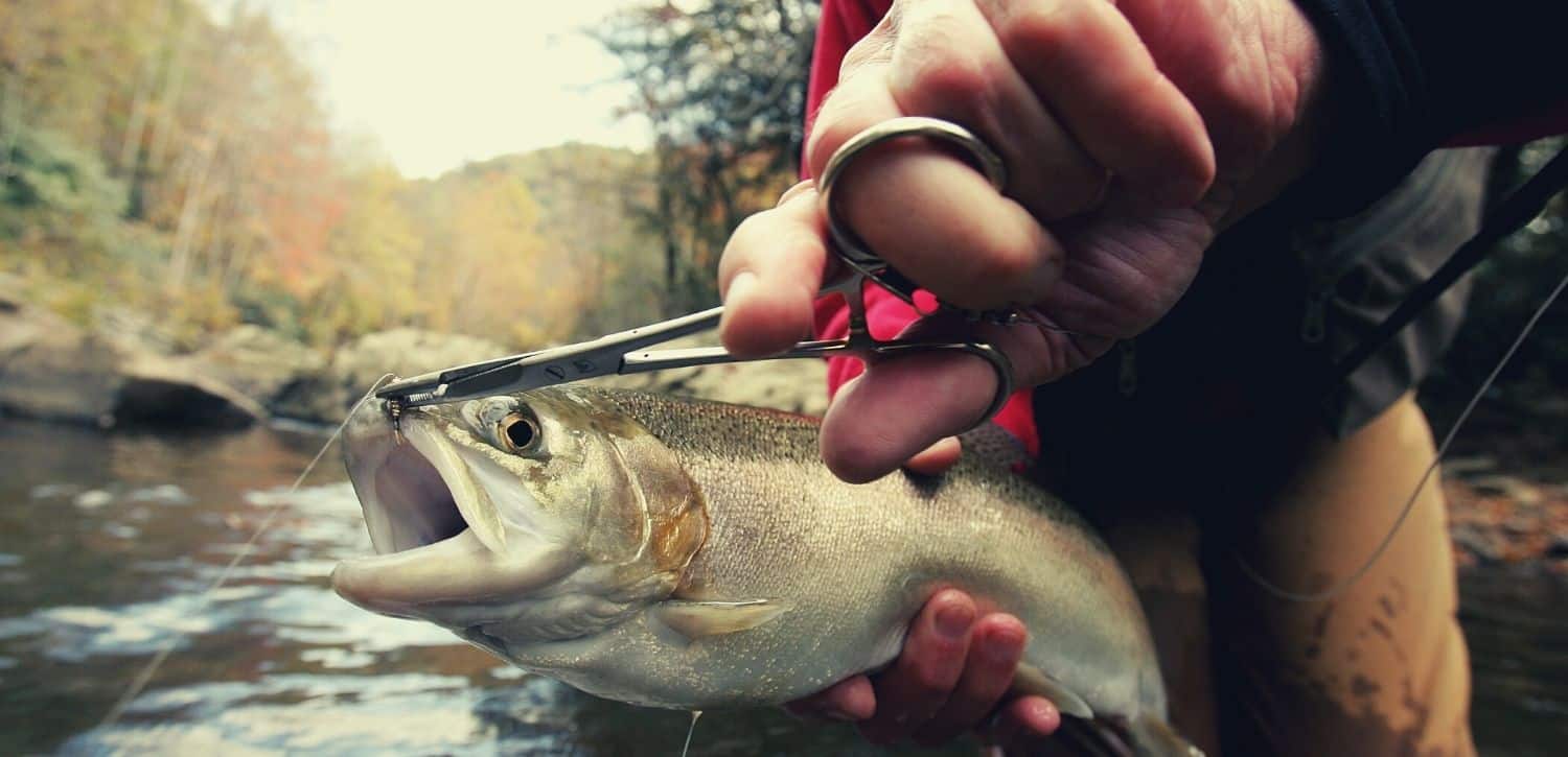 Home Page Fly Fishing