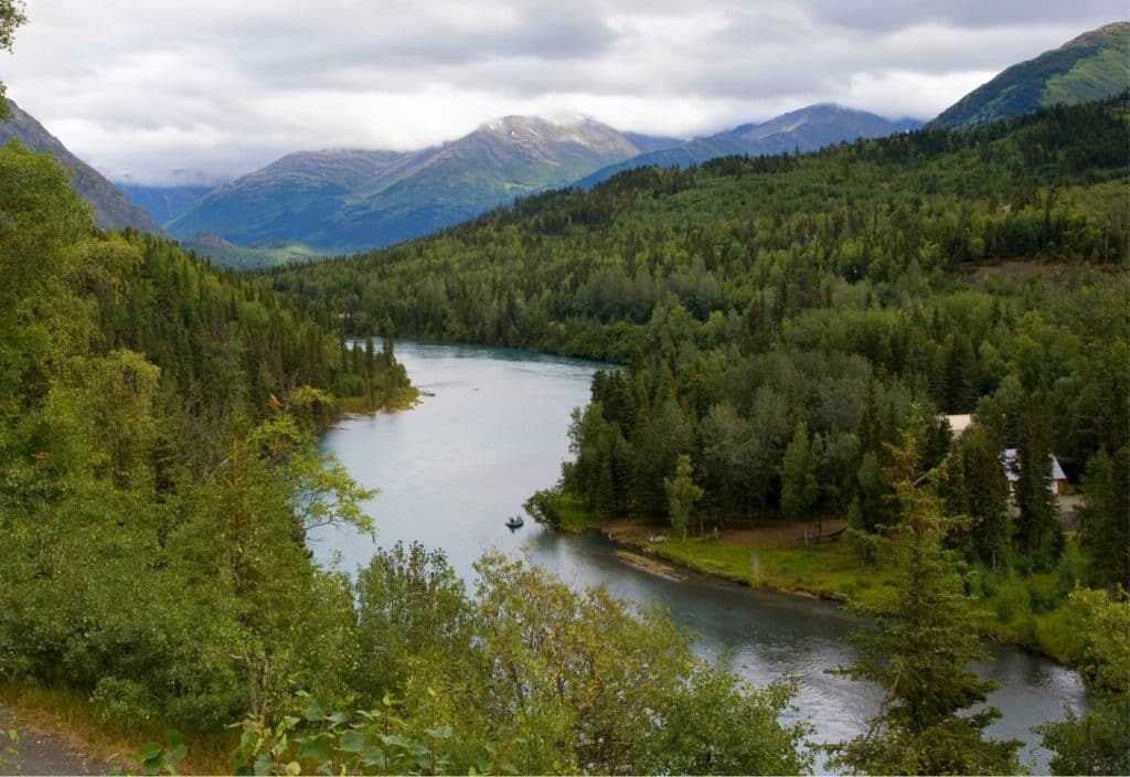 fly fishing the Kenai River