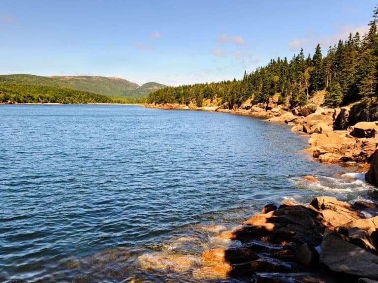 Acadia National Park Fly Fishing (Best Fishing Spots, Species & More