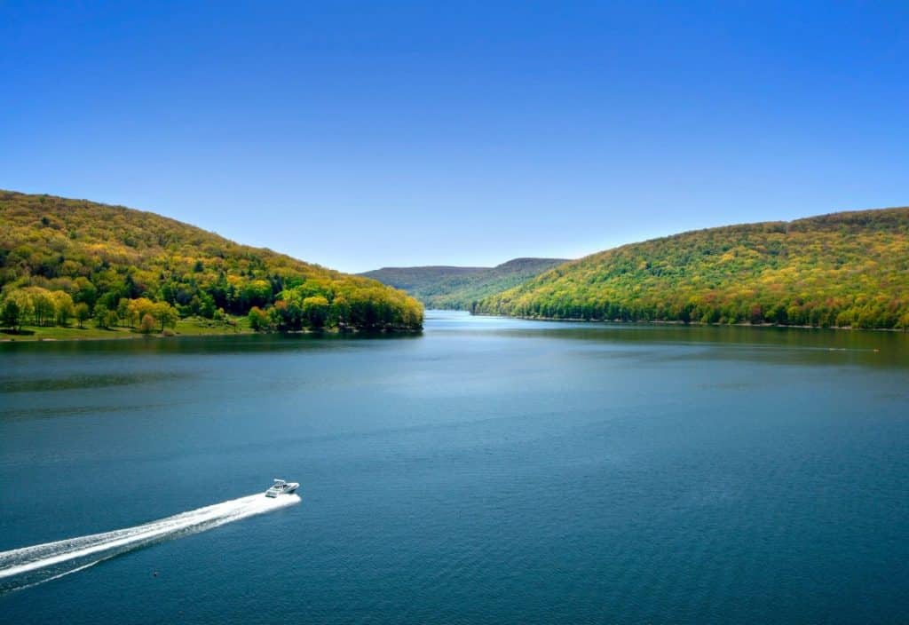 Fly Fishing The Allegheny River