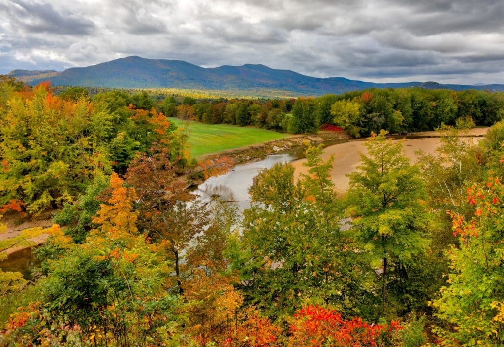Saco River Fishing