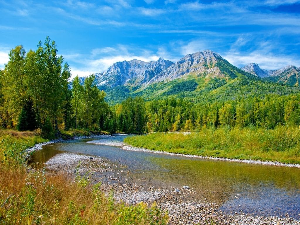 Spring Creek fishing