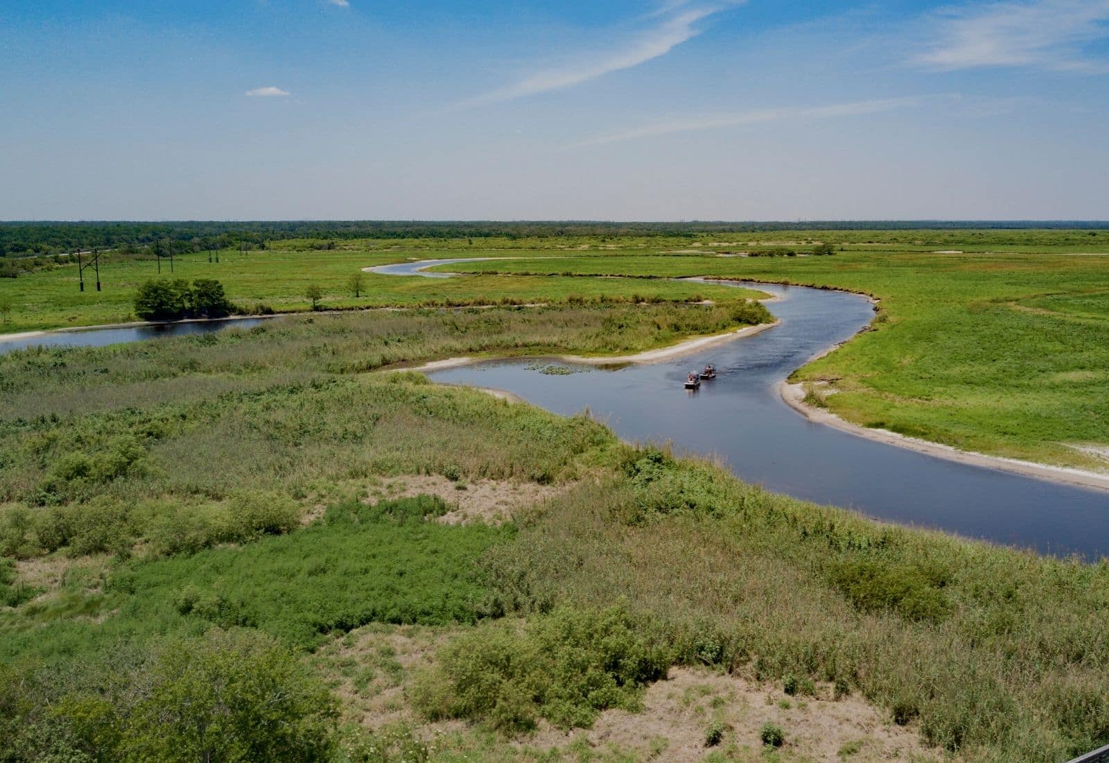St. Johns River Fishing (Best Spots, Species & More) Into Fly Fishing