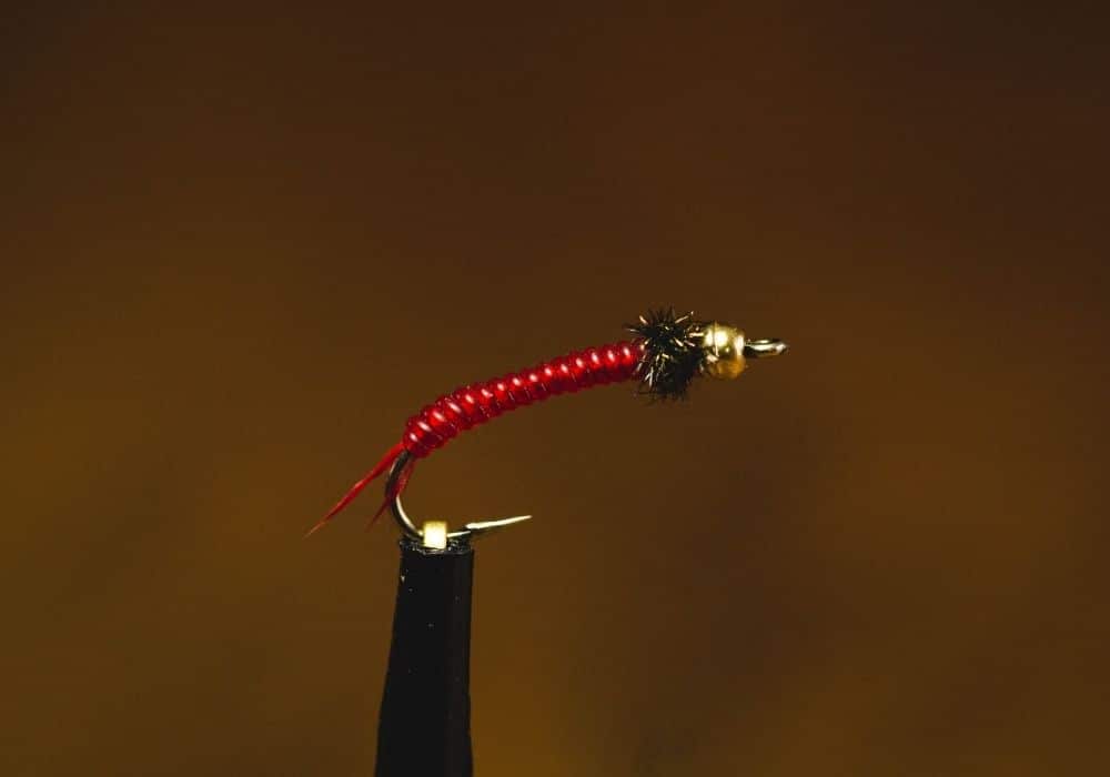 10 Best Stillwater Trout Flies (2023 Buyer’s Guide)