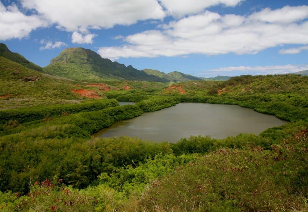 fishing Hawaii