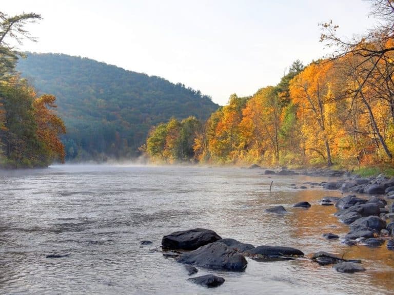 Housatonic River Fly Fishing (A Complete Fishing Guide) Into Fly Fishing