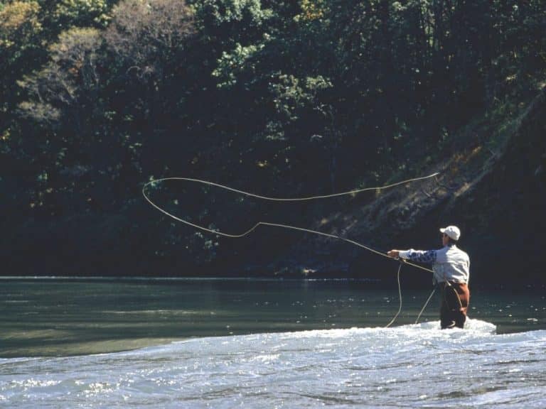 St. Johns River Fishing (Best Spots, Species & More) Into Fly Fishing