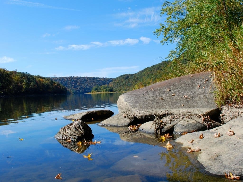 Fly Fishing the Allegheny River (An Angler's Guide) - Into Fly Fishing